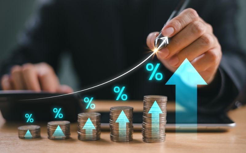 Người chơi đang phân tích thông tin gà để đưa ra quyết định cá cược thông minh